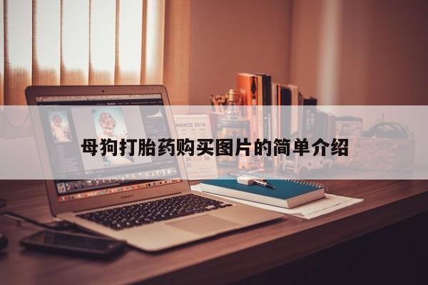 私人诊所开的打胎药母狗打胎药购买图片的简单介绍